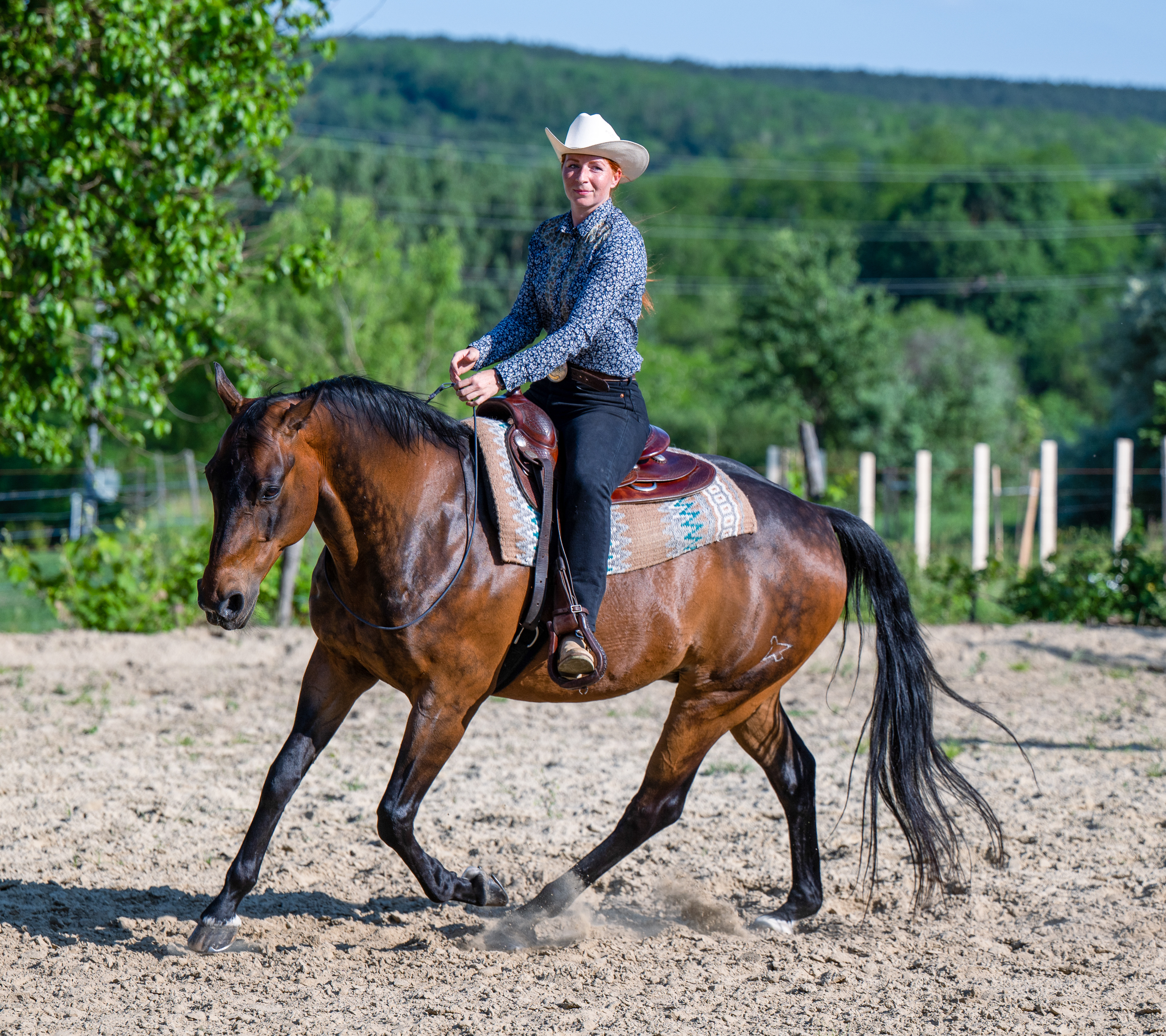 KG Training - Természetközeli ló- és lovasképzés